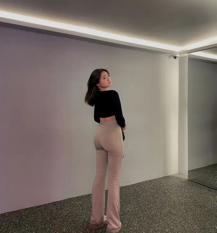 Galeria do criador